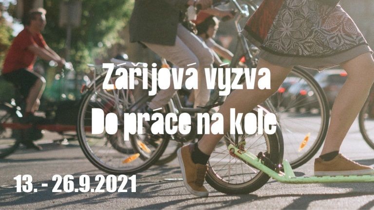 zaridpnk.jpg