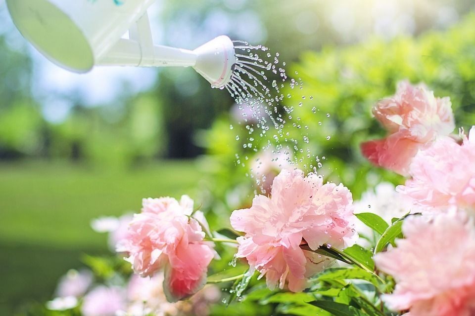 Rozkvetlé město 2021