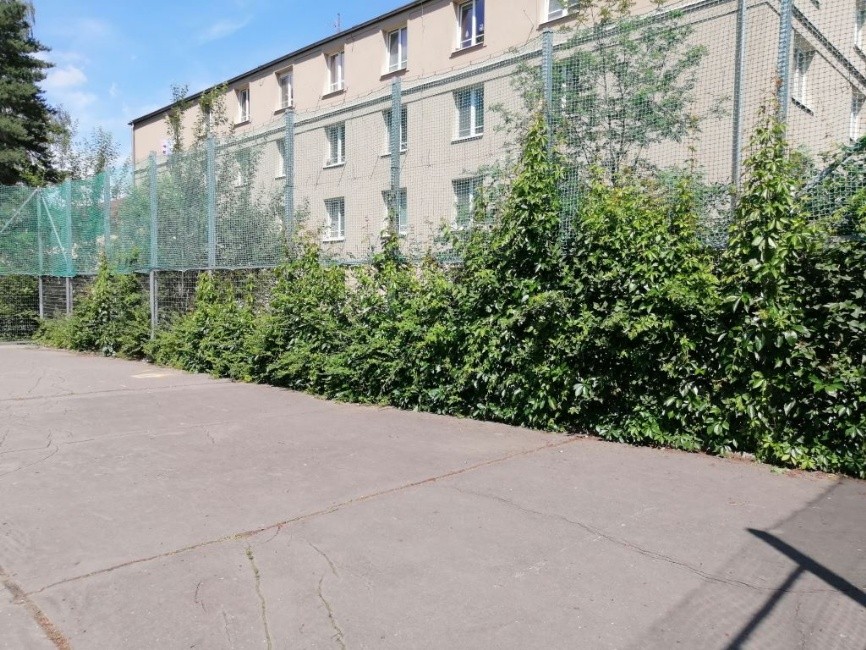 Hřiště č. 60 na Štefánikově ulici