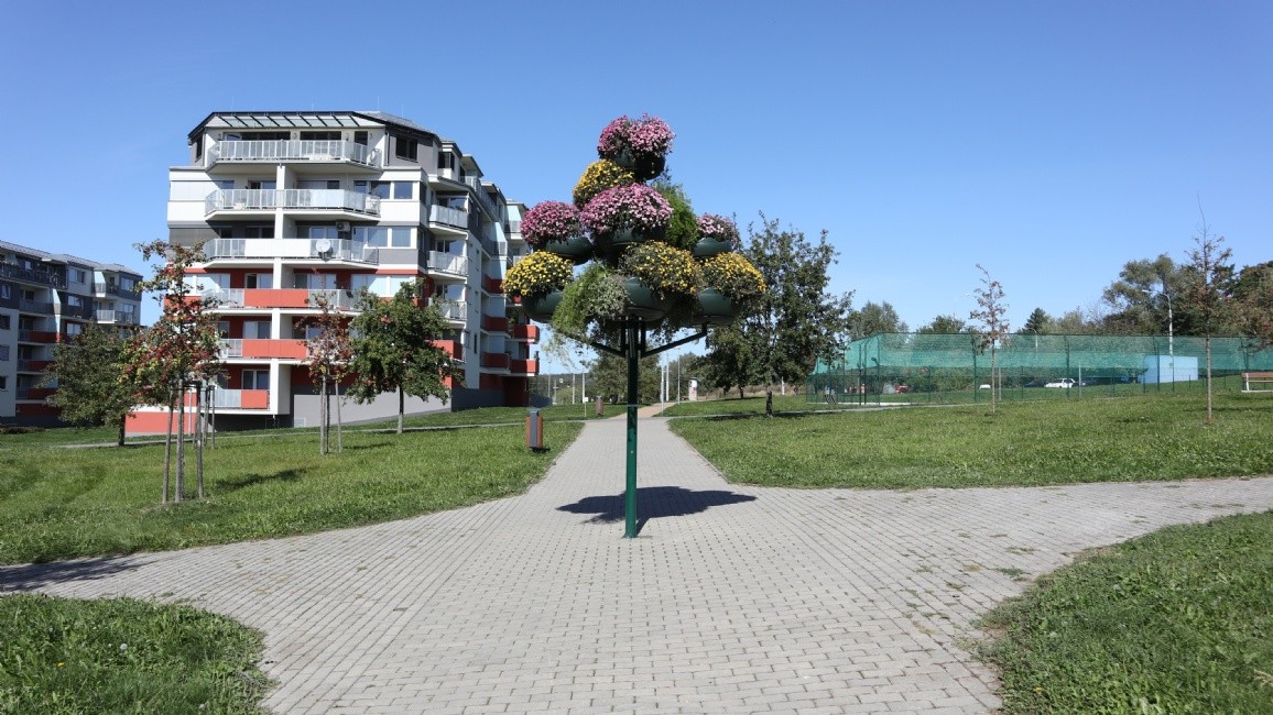 img-0005--1-.jpg
