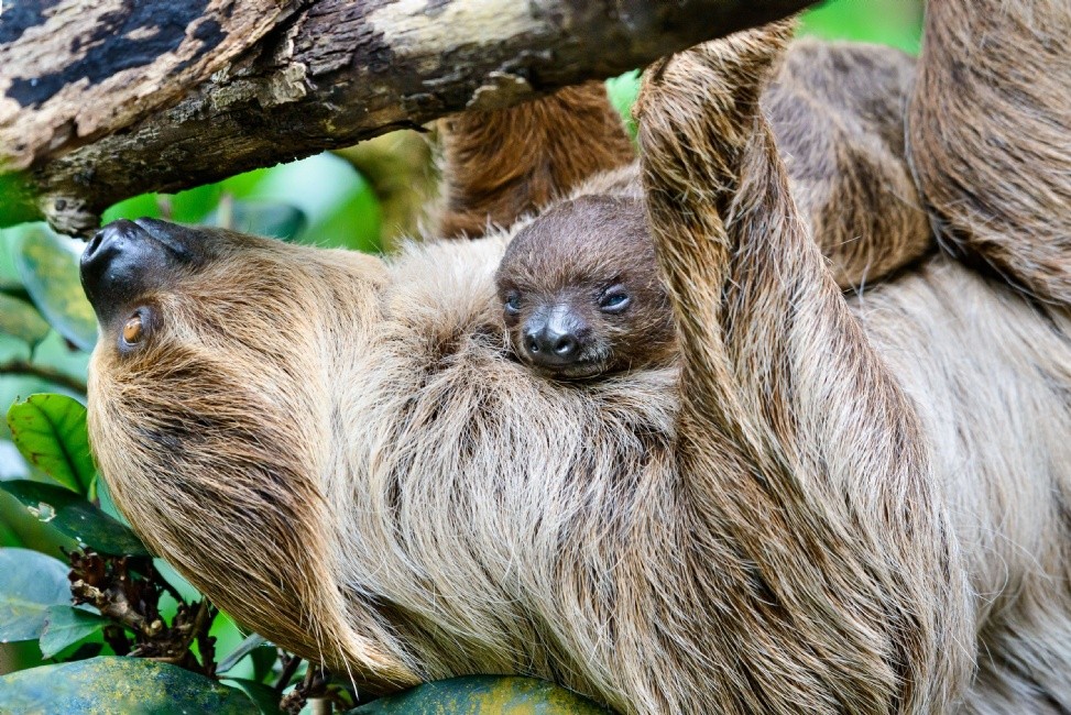 zoo-7716.jpg