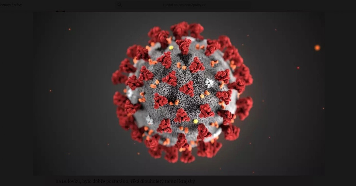 koronavirus.jpg