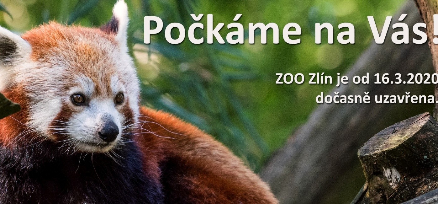 zoo.jpg