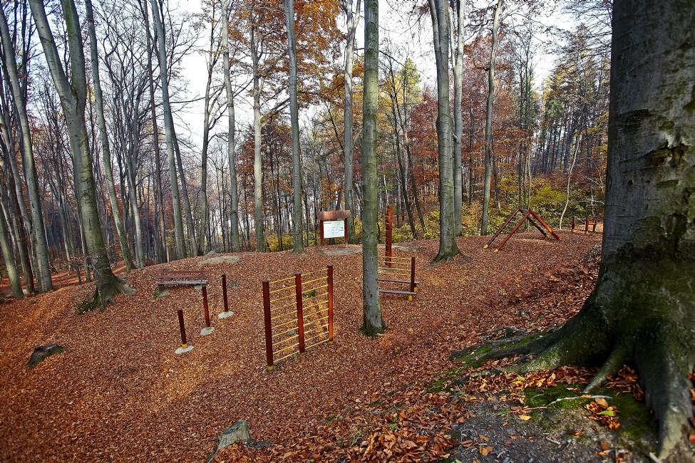 stezka-zdravi--tlusta-hora-4.jpg