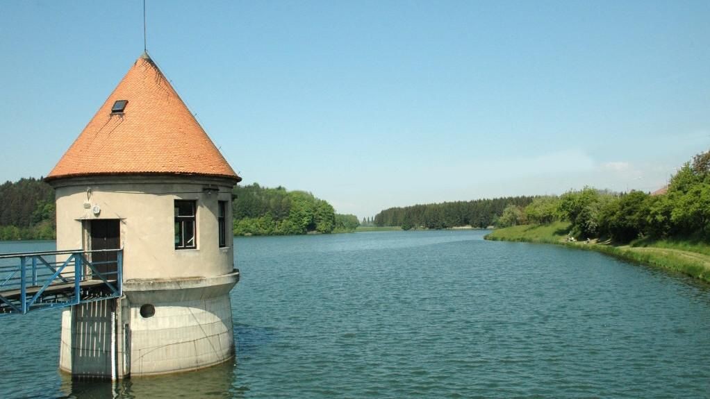 vd-f.jpg