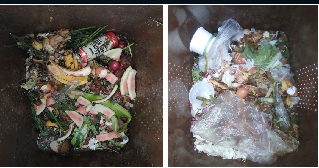 znecisteny-bioodpad.jpg