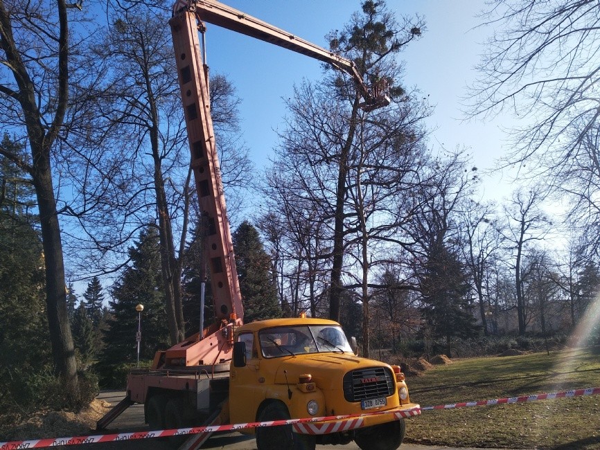 img-20190228-093755.jpg