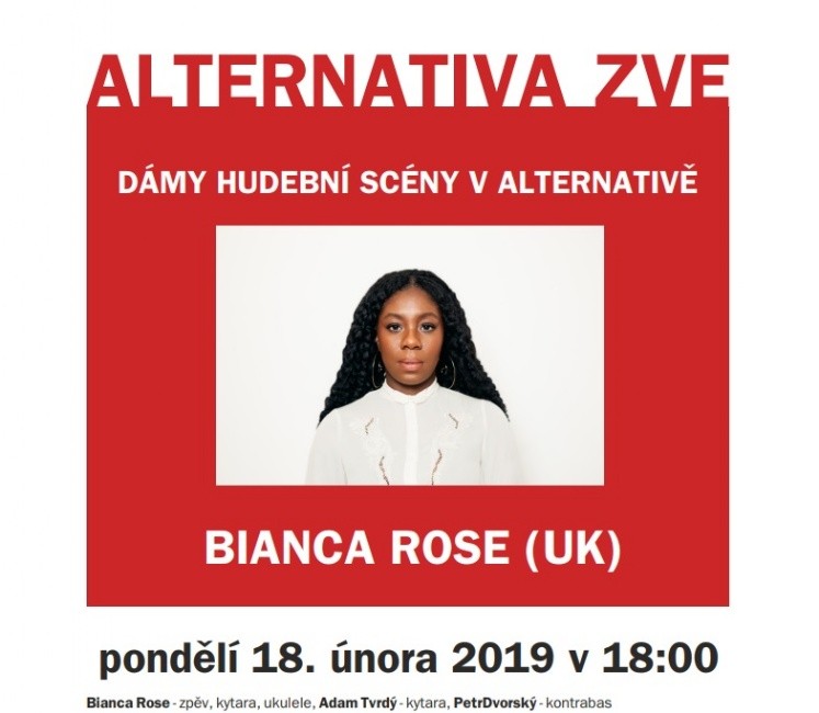 koncert.jpg