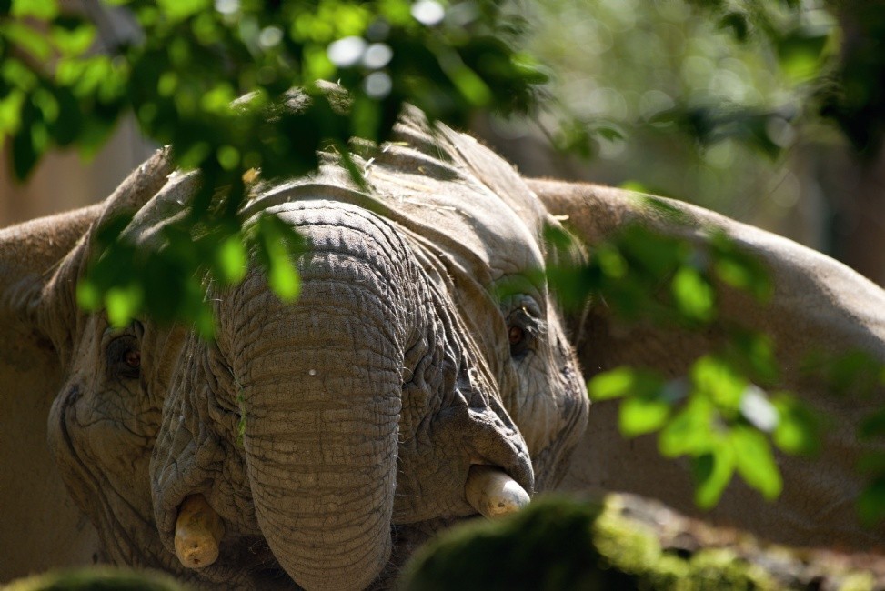 ZOO Zlín