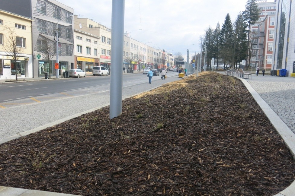 skolni-jirovce.jpg