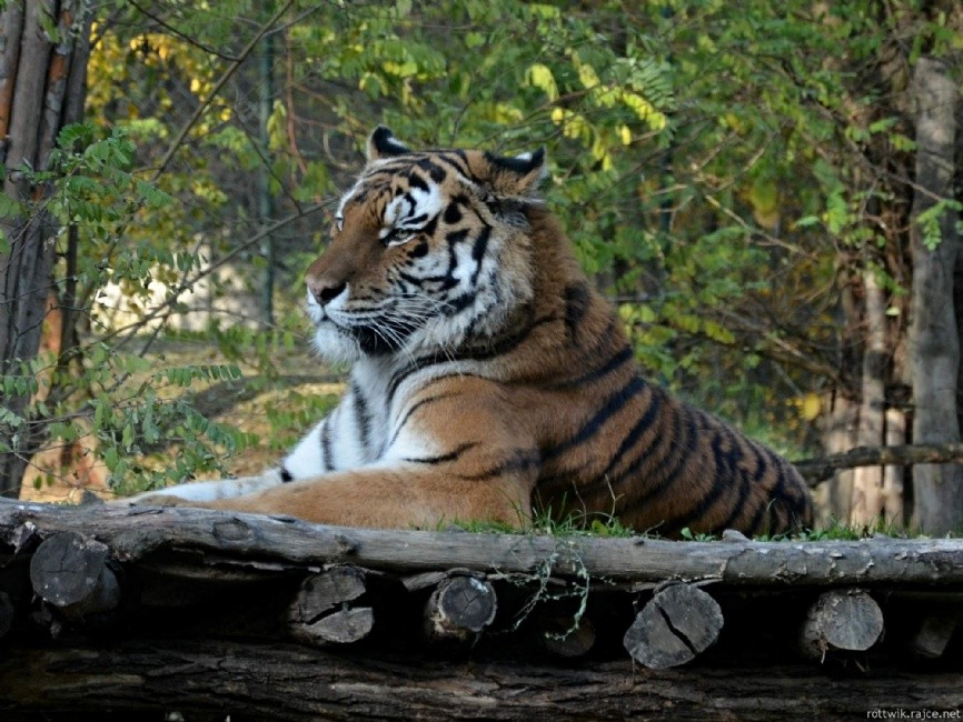 foto-zoo-zlin.jpg