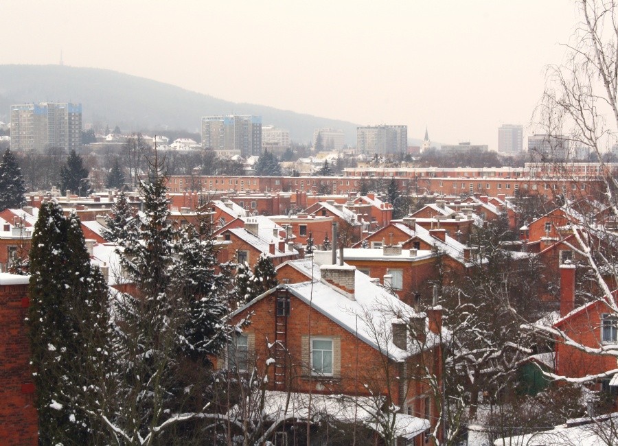 zalesna-zlin-v-zime.jpg