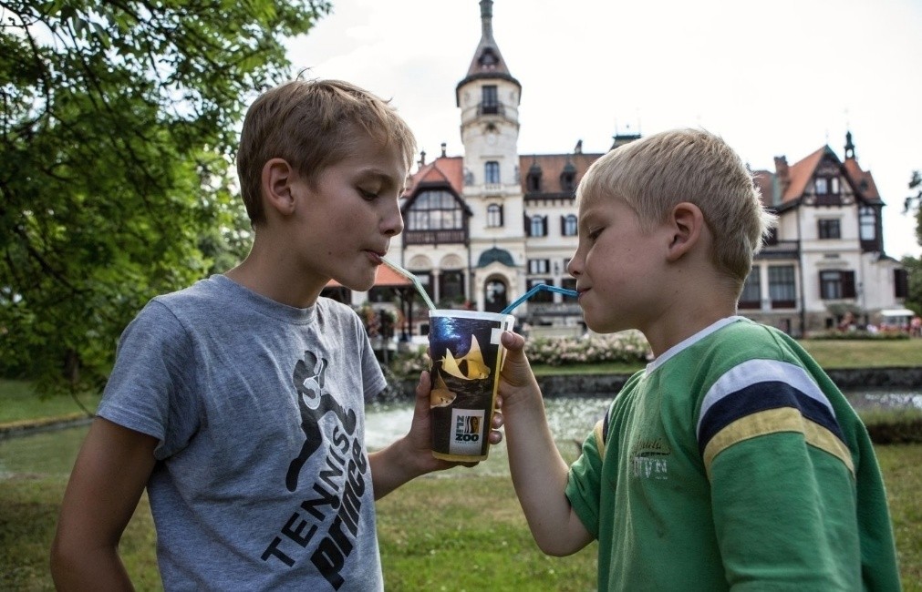 foto: ZooZlin.jpg