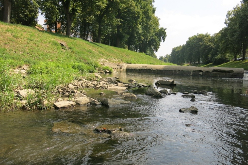 Dřevnice na suchu.jpg