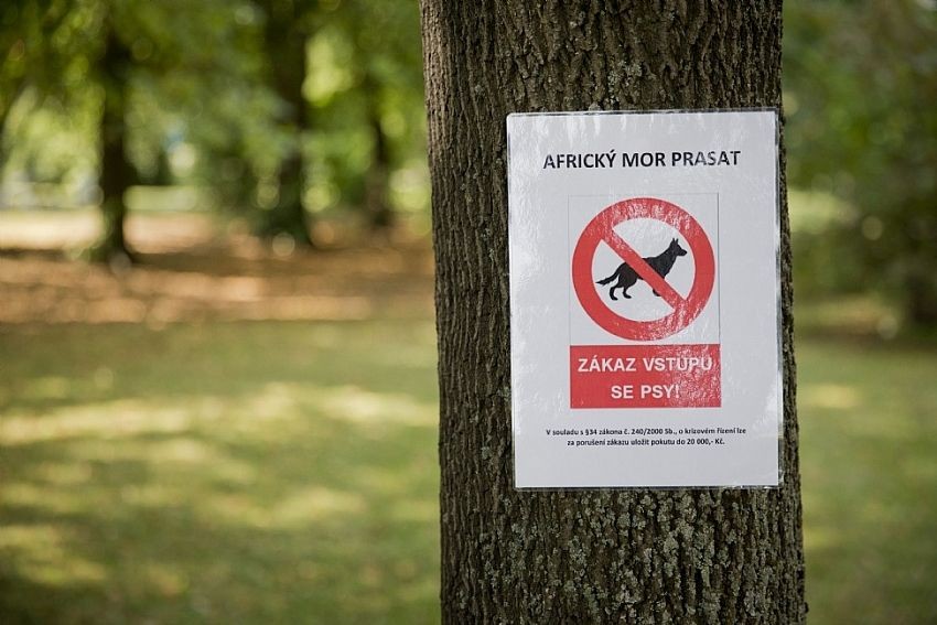 Zákaz vstupu se týká nejen psů, ale i koní a dalších domácích zvířatt