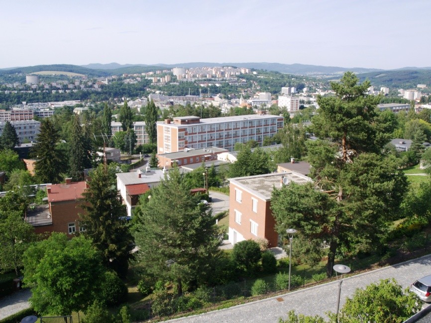 p1015564.jpg
