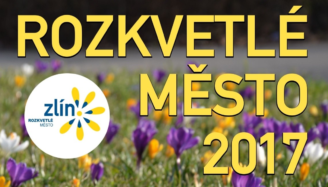 rozkvetle-mesto.jpg