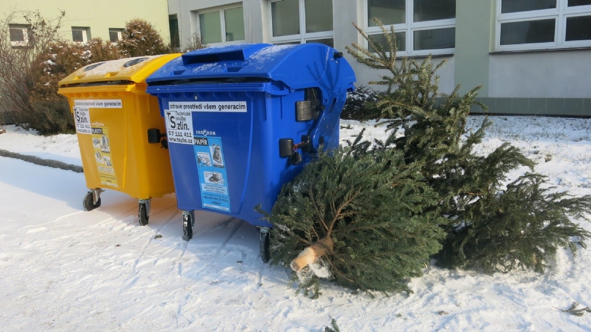 Vánoční stromky jsou již z většiny svezeny