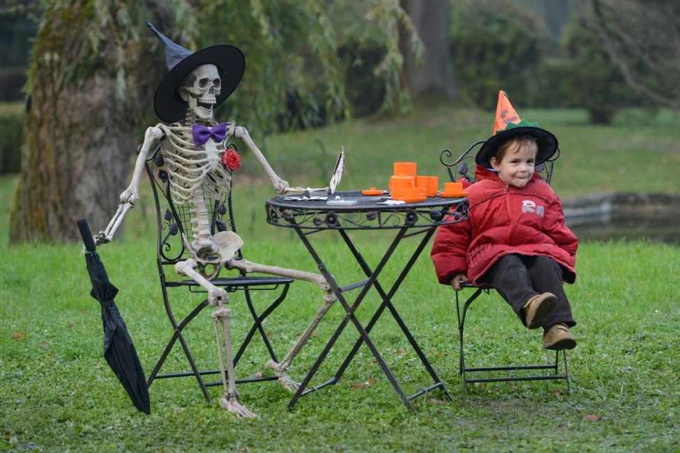 halloween-zoo.jpg