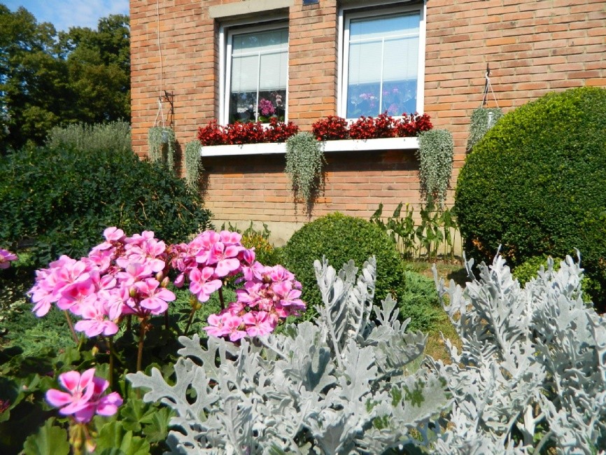soutez-rozkvetle-mesto.jpg