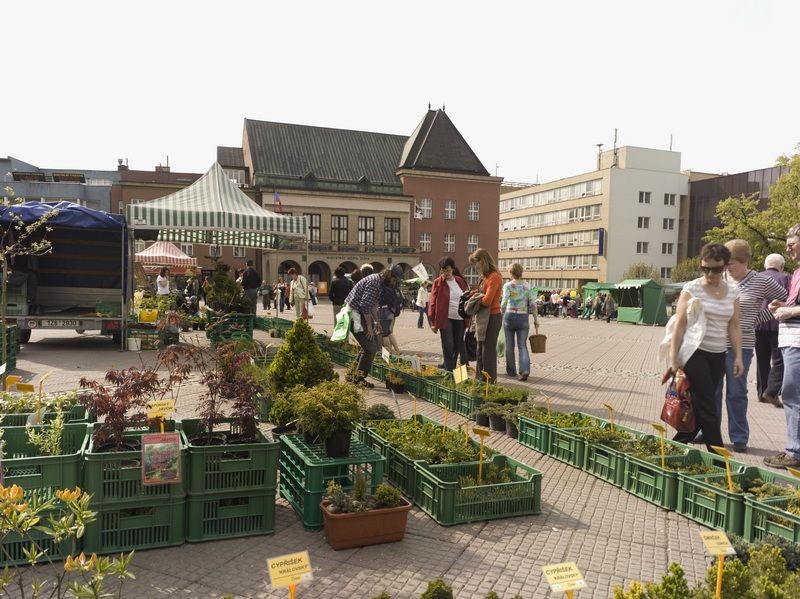 Náměstí Míru ožije Květinovým jarmarkem