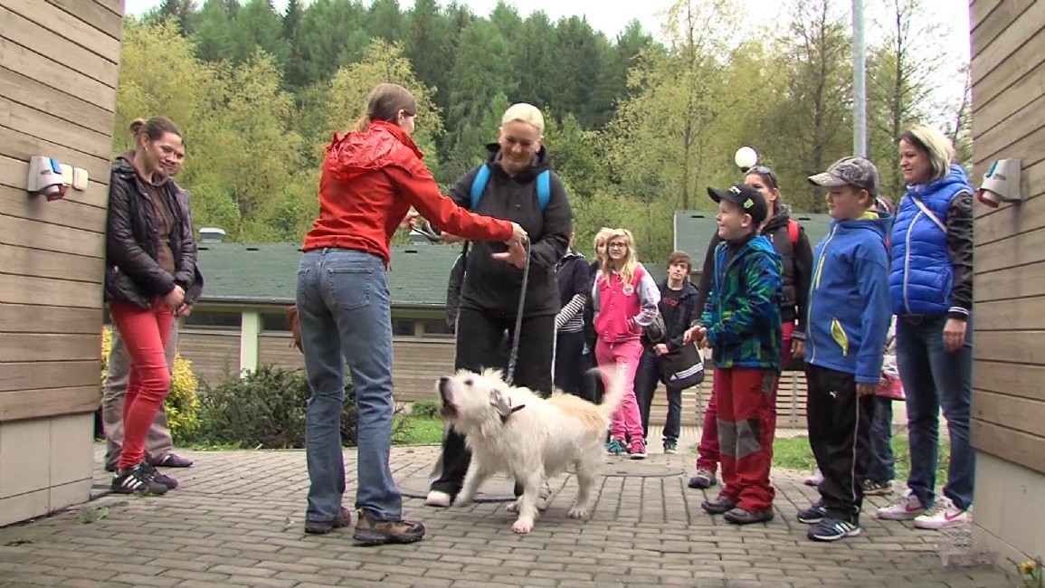 Procházka začíná