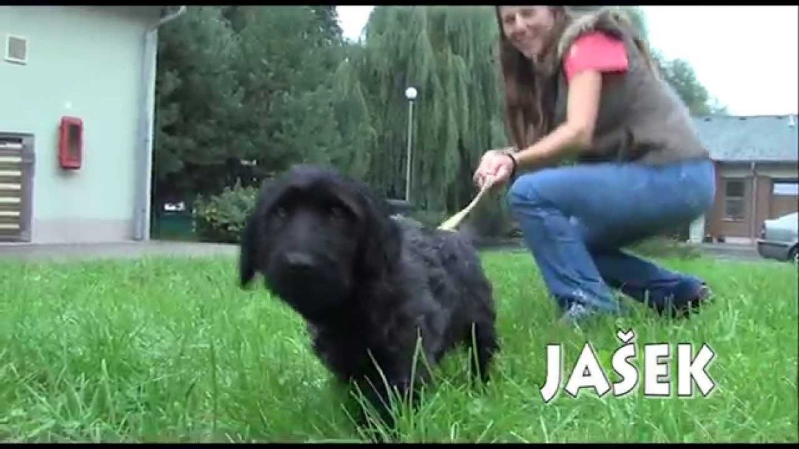 jasek.jpg