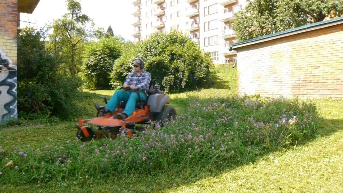 trava.jpg