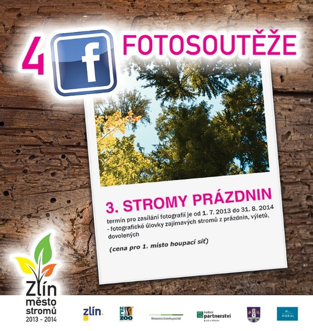 Leták k fotosoutěži Stromy prázdnin