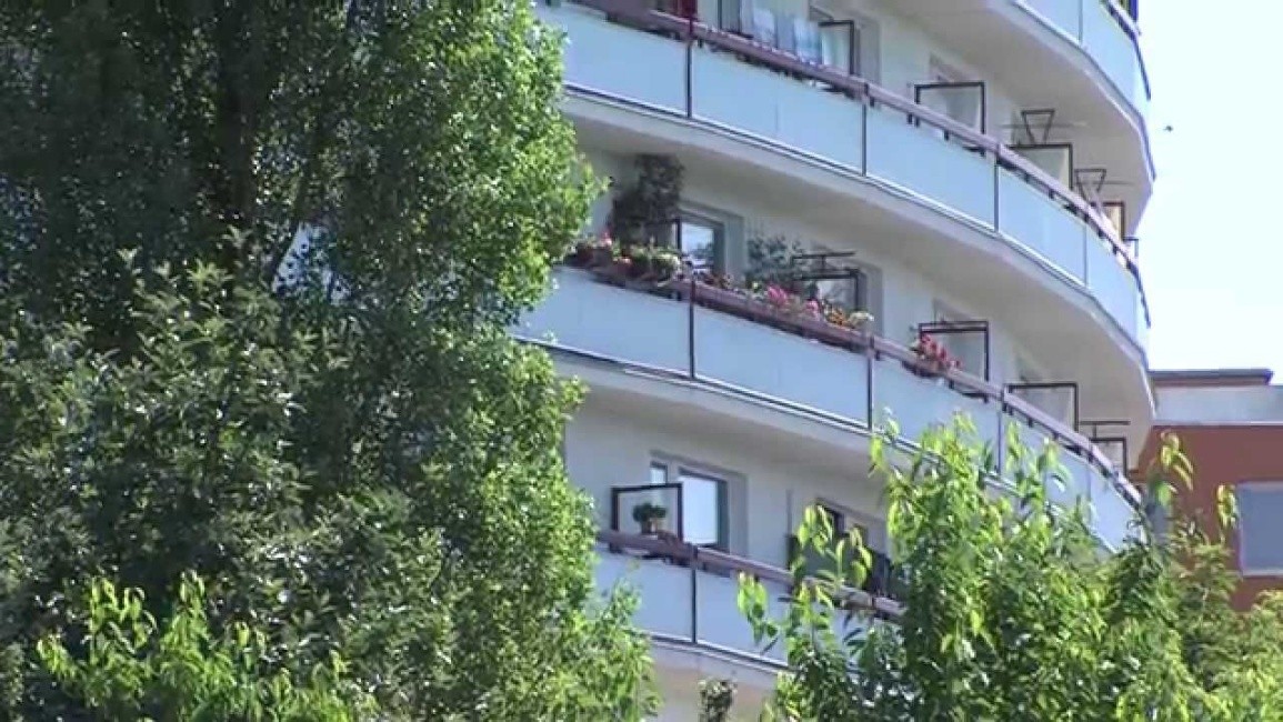 najemne-reportaz.jpg