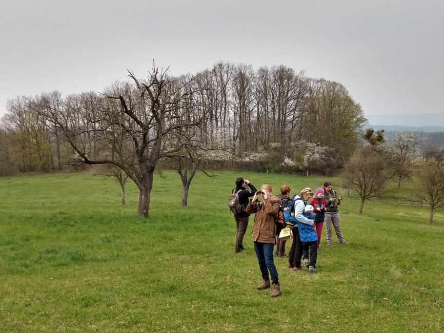 img-20190414-151233289-hdr.jpg