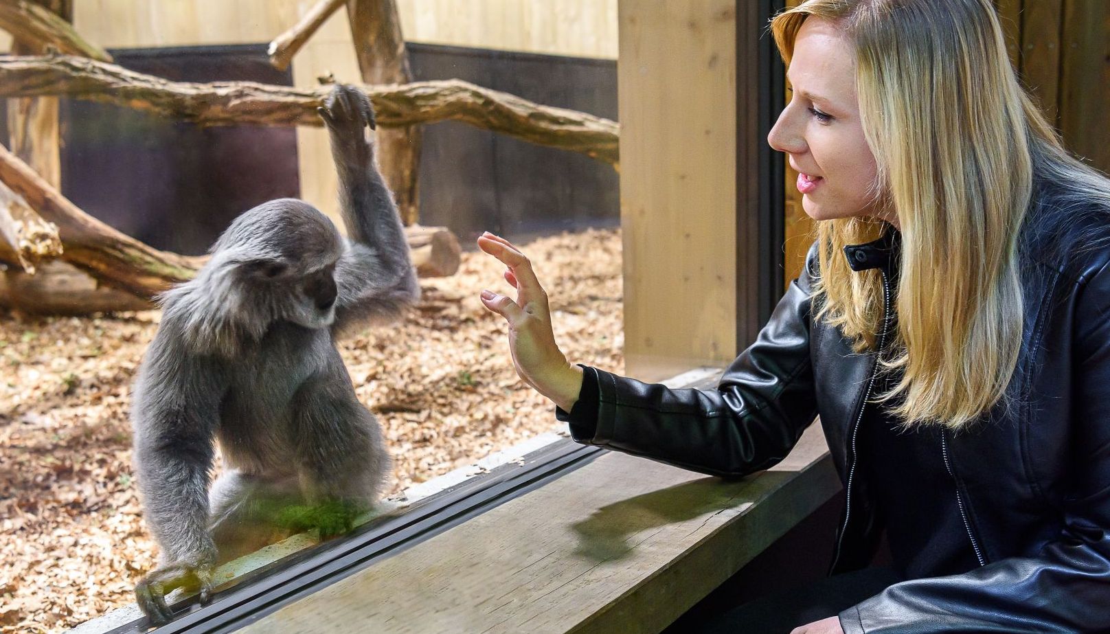 Zoo Zlín přepsala historické tabulky, do areálu zavítalo rekordních 812 172 návštěvníků