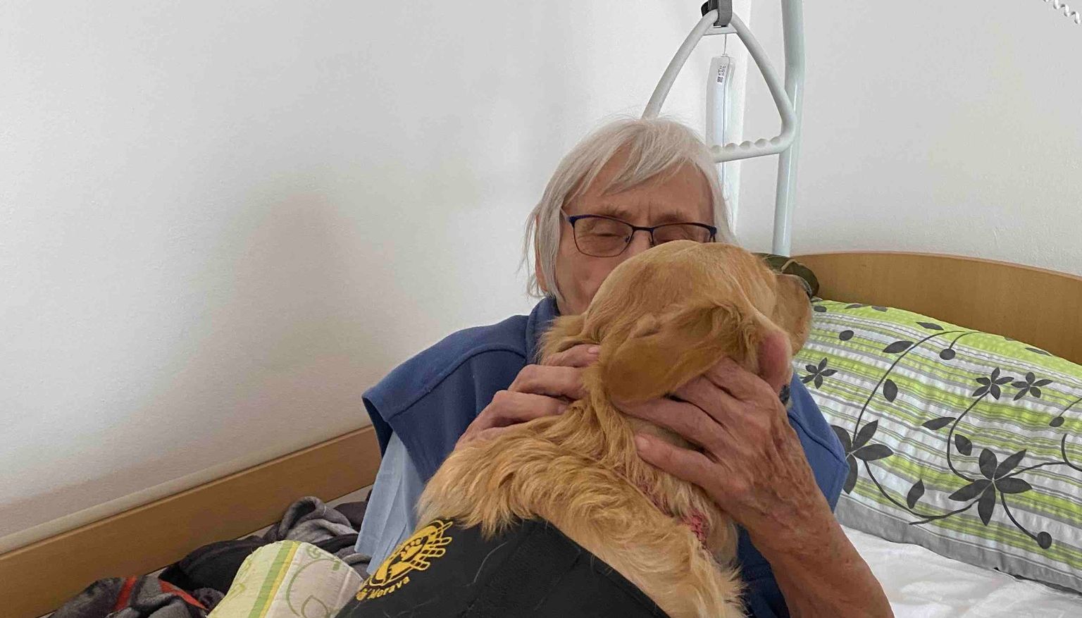 Konference o paliativní péči otevřela důležitá témata