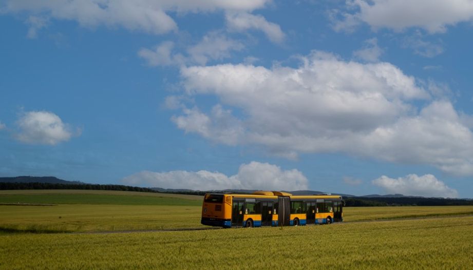 Do Zoo Zlín na Velikonoce? Nejlépe ve vozech MHD