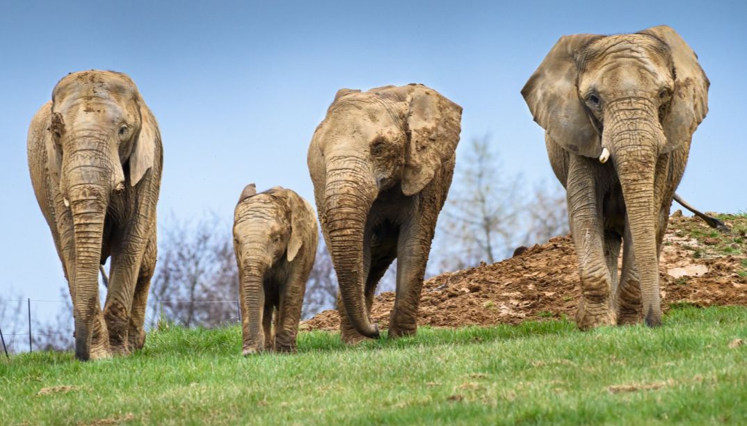 Karibuni v Zoo Zlín je opět otevřeno