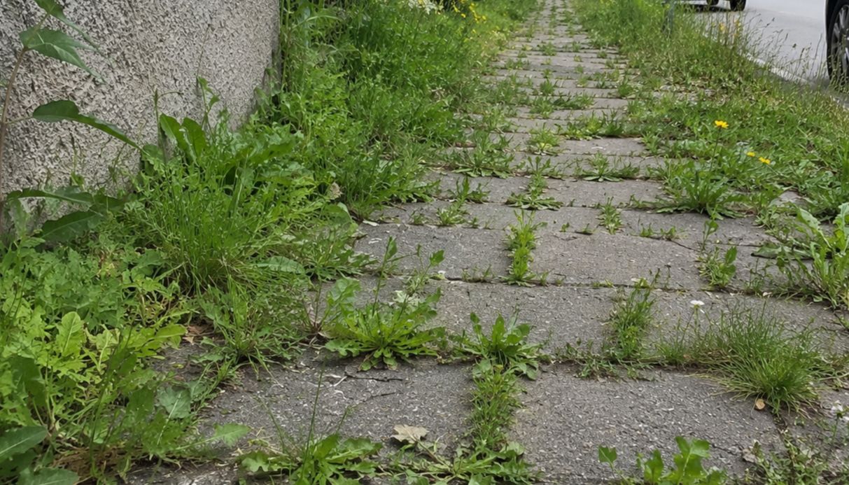Začne postřik chodníků proti plevelu