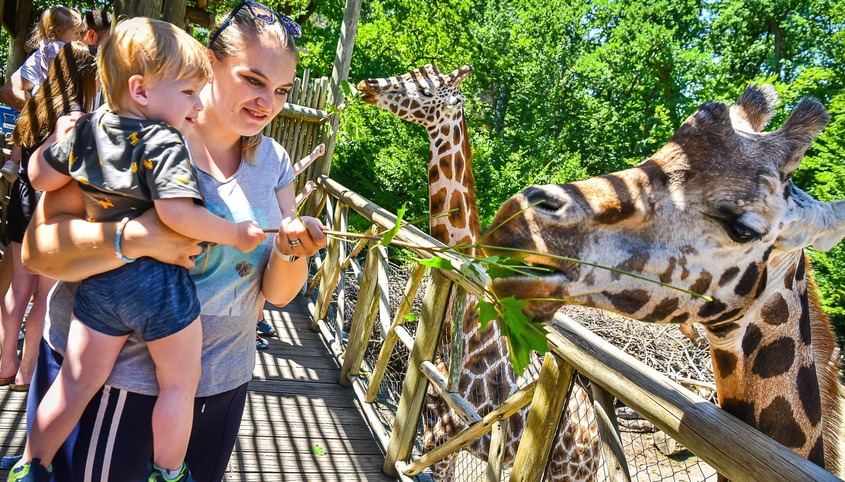 V září a říjnu do Zoo Zlín jen za stovku!