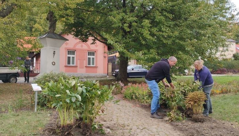 Město zachrání zeleň ze sadu Svobody. Přesadí ji na nová místa